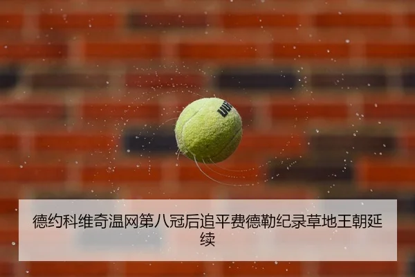 de-yue-ke-wei-qi-wen-wang-di-ba-guan-hou-zhui-ping-fei-de-lei-ji-lu-cao-di-wang-chao-yan-xu-3-254.jpg